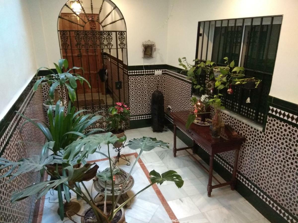 Apartmán Oasi Macarena Sevilla Exteriér fotografie