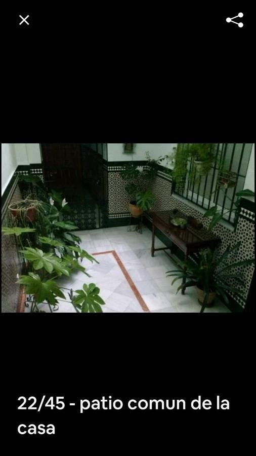 Apartmán Oasi Macarena Sevilla Exteriér fotografie