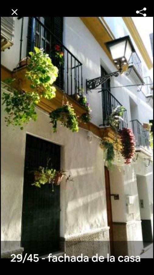 Apartmán Oasi Macarena Sevilla Exteriér fotografie
